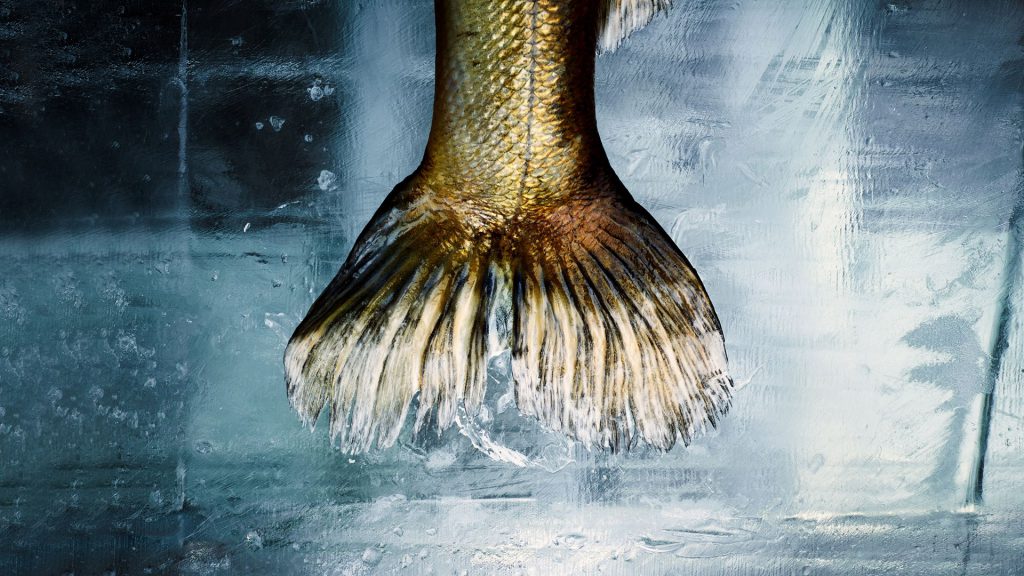 Kalatukku E. Eriksson Oy